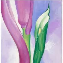 Oriental Pink Banana — Georgia O'Keeffe Series
