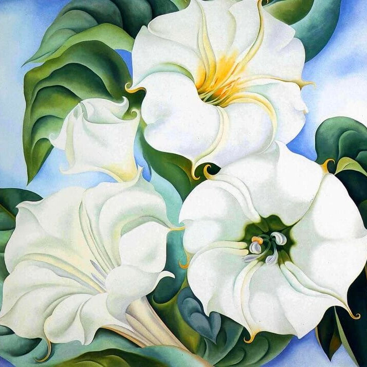 Jimson Weed 3 — Georgia O'Keeffe Series