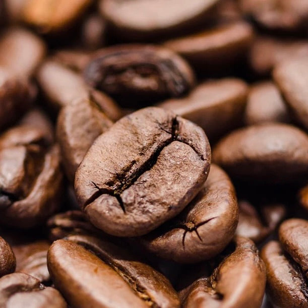 "Espresso Bean" on Various Yarn Bases