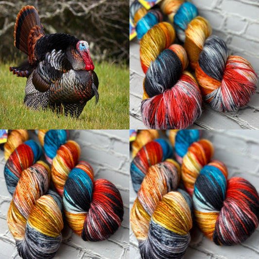 "Turkey Pardon" on Various Yarn Bases