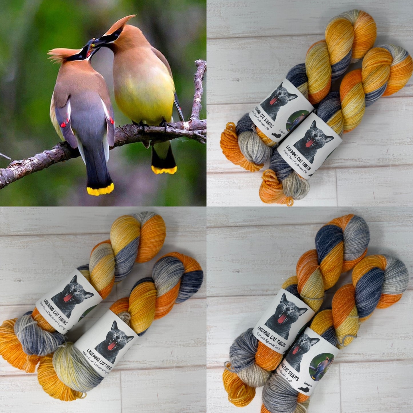Cedar Waxwing | Nature Collection