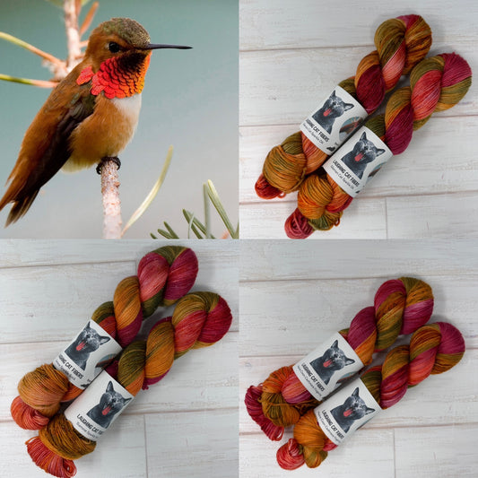 Male Rufous Hummingbird| Nature Collection