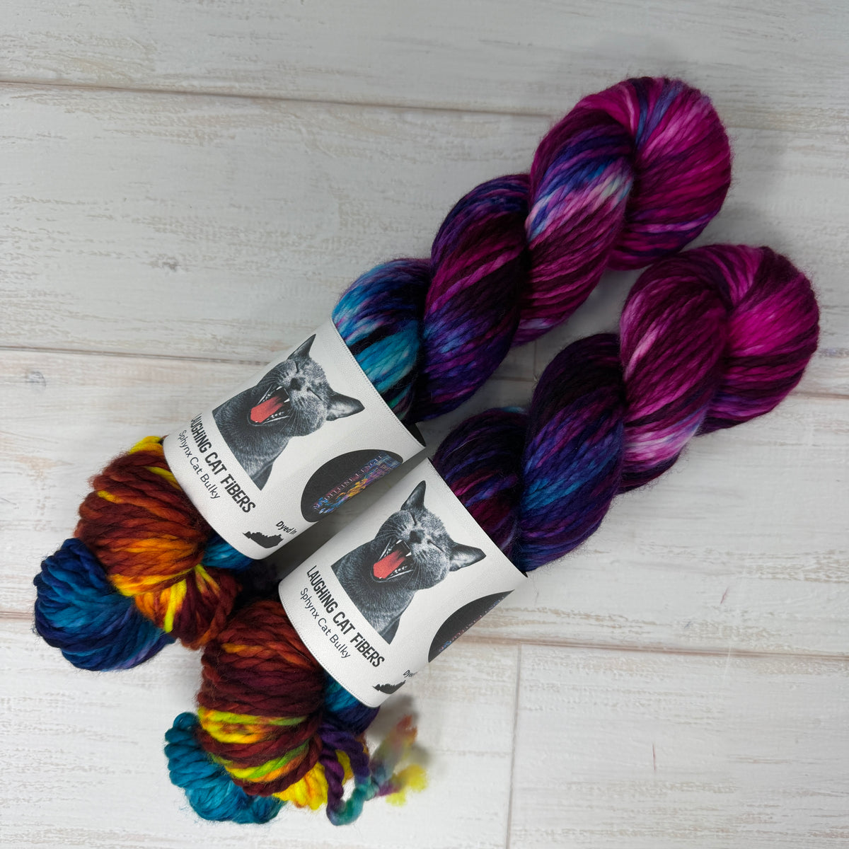 A Swiftly Tilting Planet — Banned Book Colorway