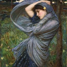 Woman with flowing hair and draped fabric in a natural setting