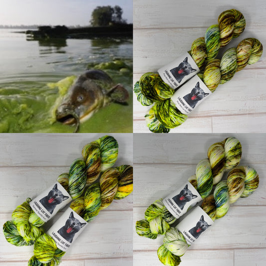 Lake Erie Algae Bloom | Nature Collection | UV Reactive