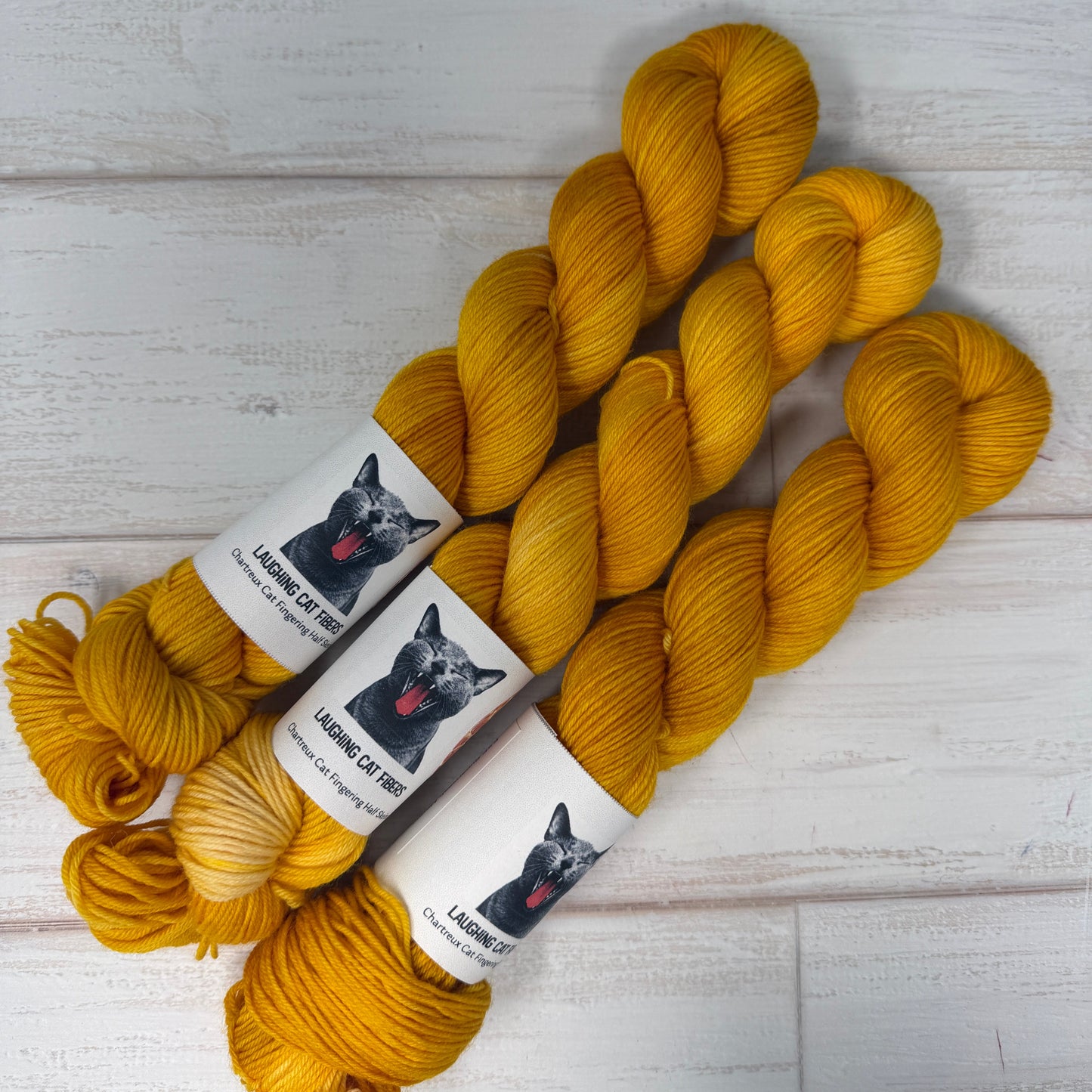 Honey Pot — Tonal Colorway