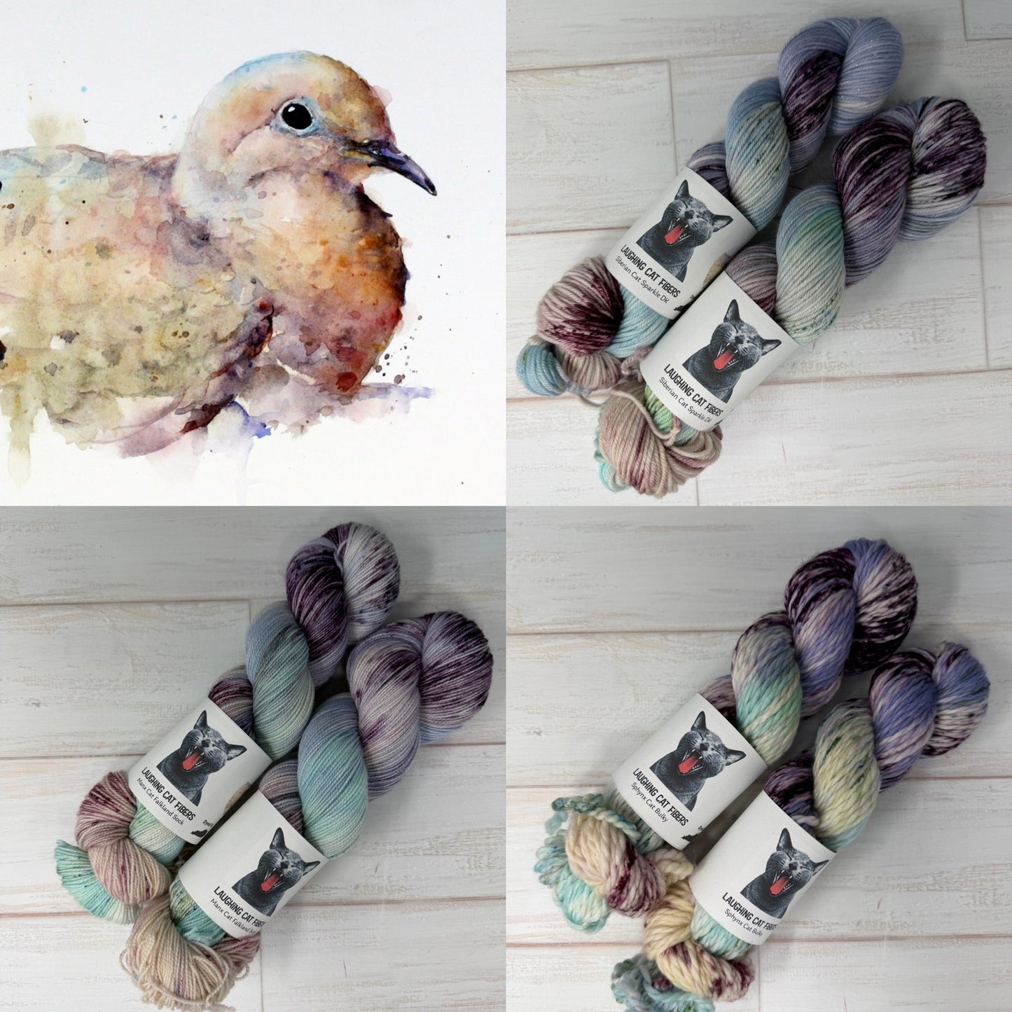 Mourning Dove | Nature Collection
