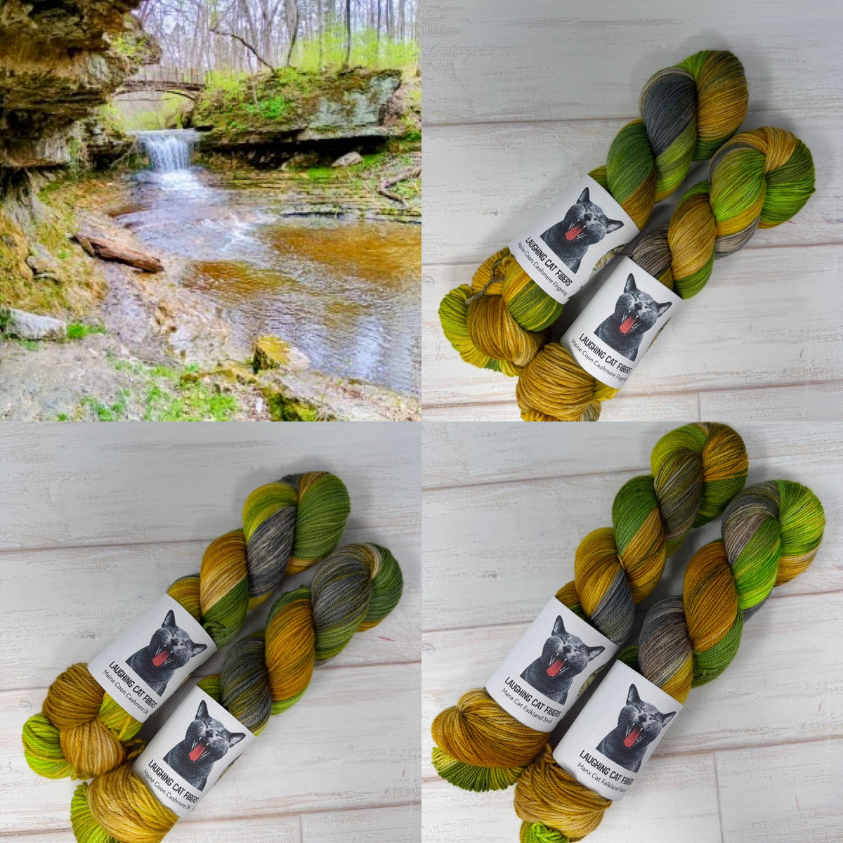 Glen Helen Yellow Springs 2026 Show Colorway| Nature Collection