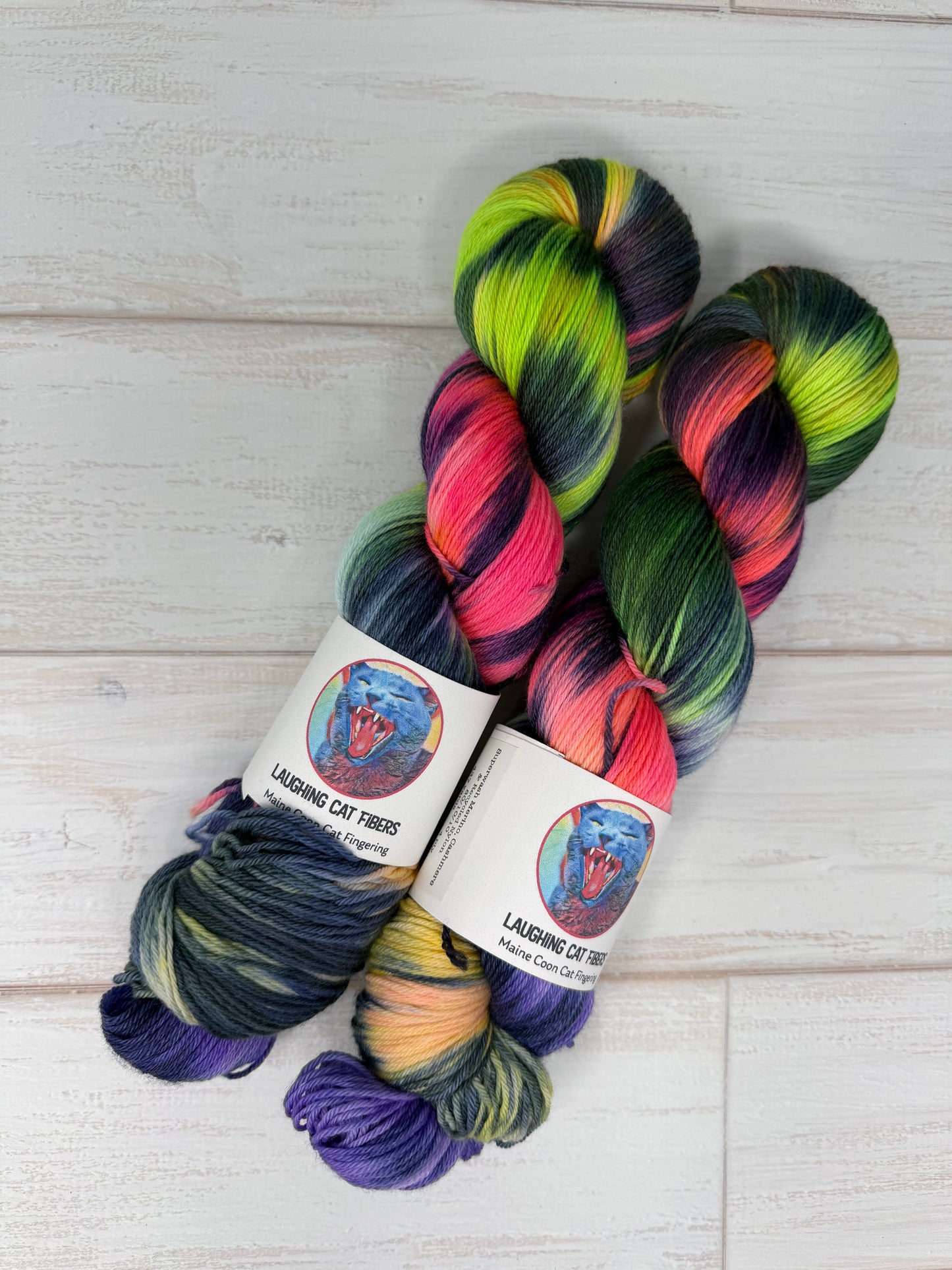 "Circus Mind" on Various Yarn Bases
