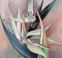White Bird of Paradise — Georgia O'Keeffe Series