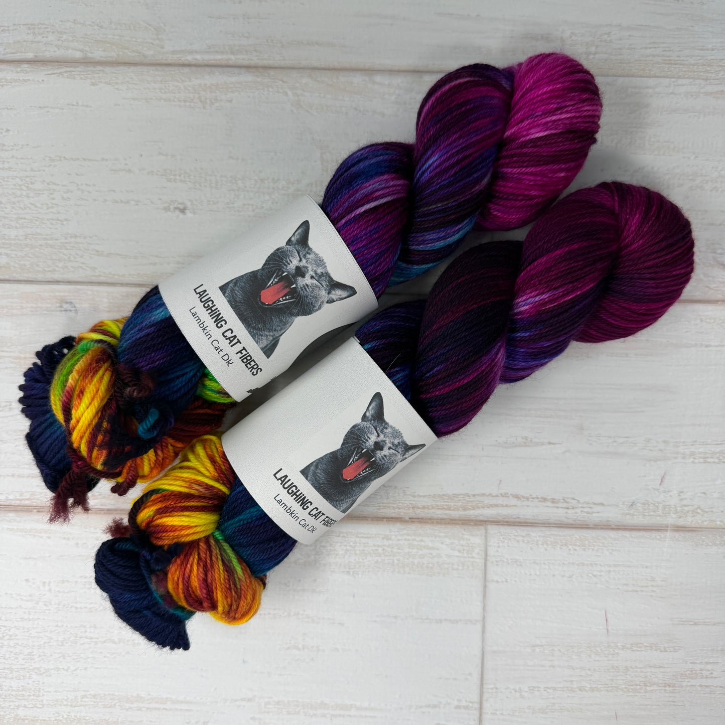 A Swiftly Tilting Planet — Banned Book Colorway