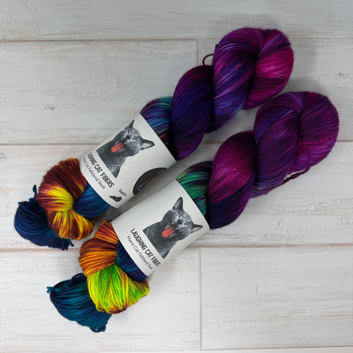 A Swiftly Tilting Planet — Banned Book Colorway