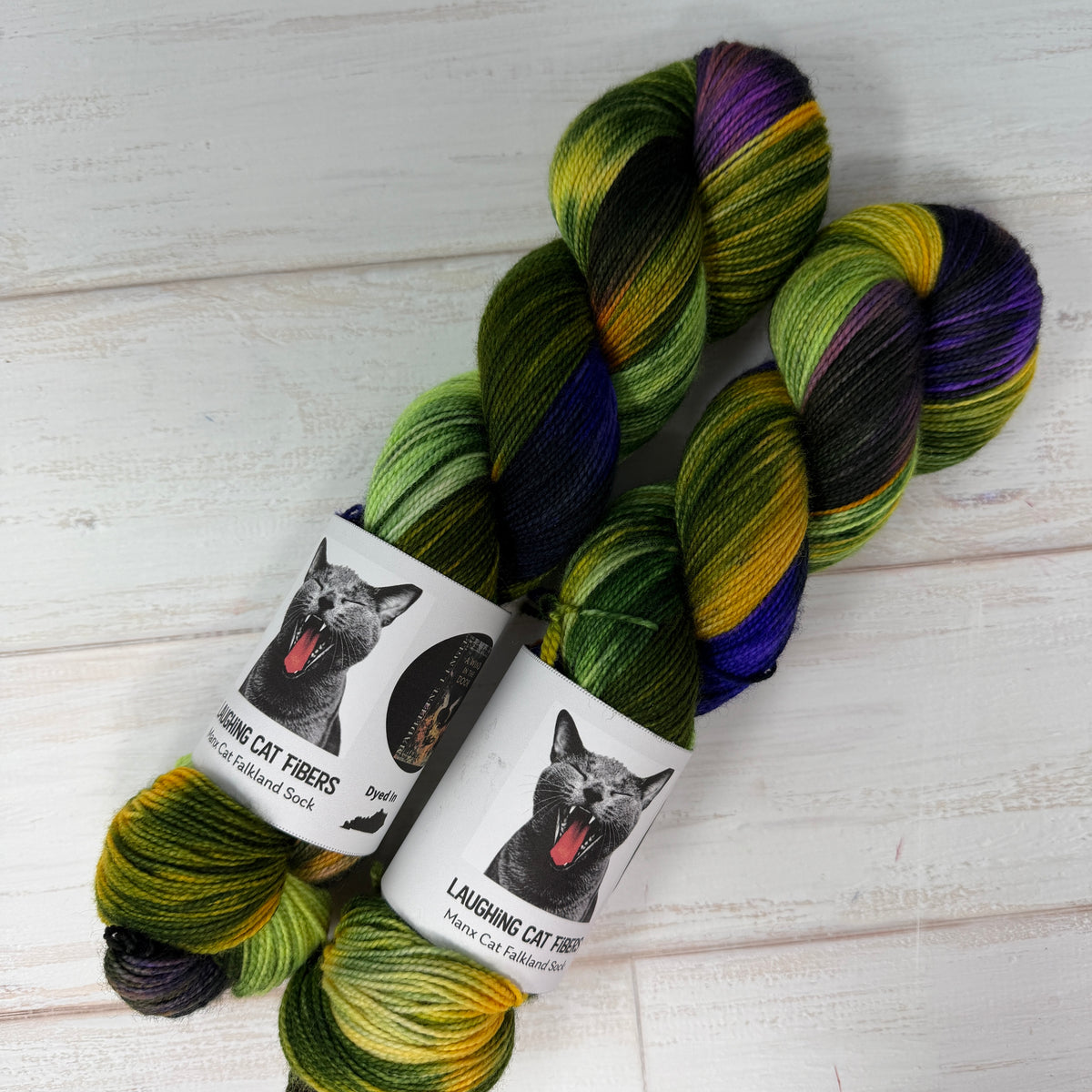 A Wind in the Door — Banned Book Colorway