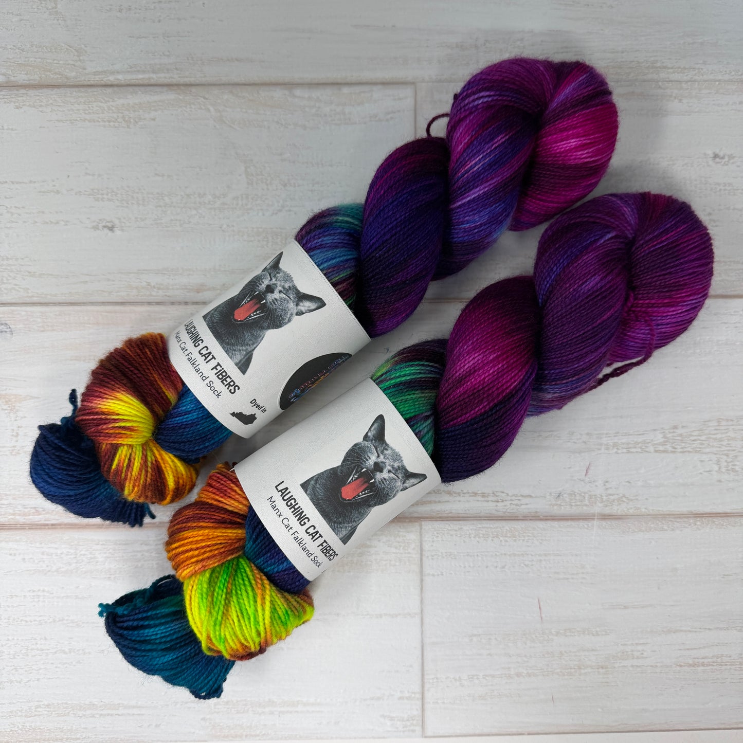 A Swiftly Tilting Planet — Banned Book Colorway