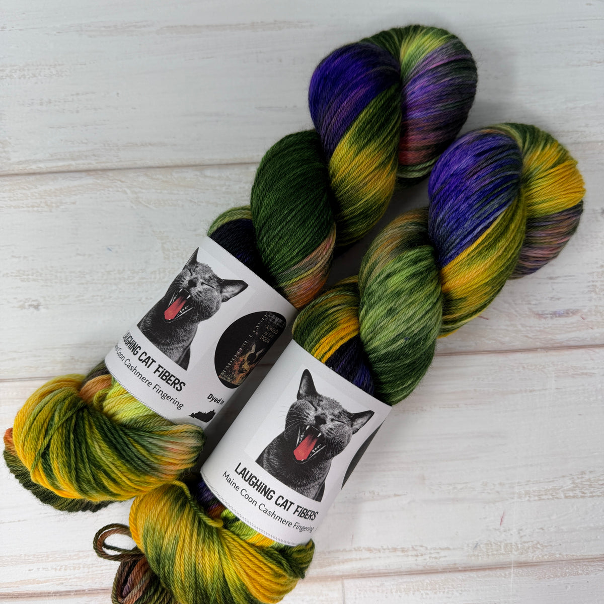 A Wind in the Door — Banned Book Colorway