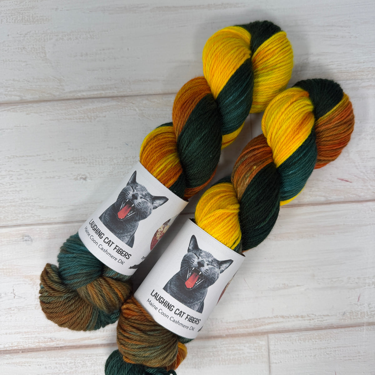 two skeins of Laughing Cat Fibers Goldfish yarn in Maine Coon DK base