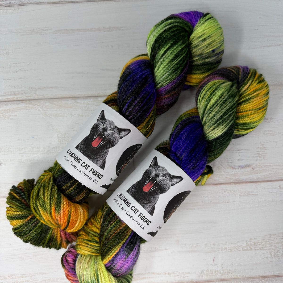 A Wind in the Door — Banned Book Colorway