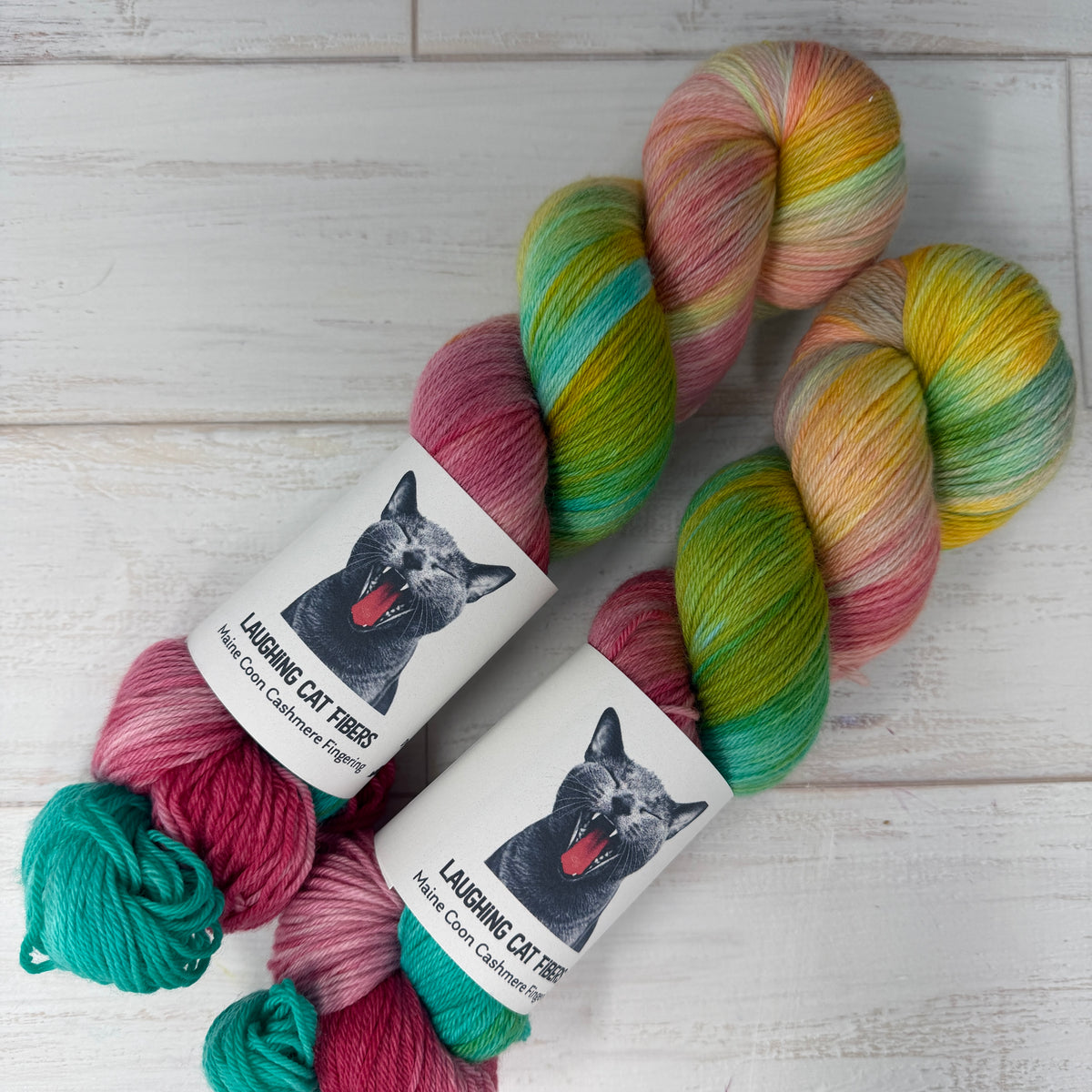two skein of hand dyed MCN fingering yarn by Laughing Cat Fibers in The Algerian Woman colorway 