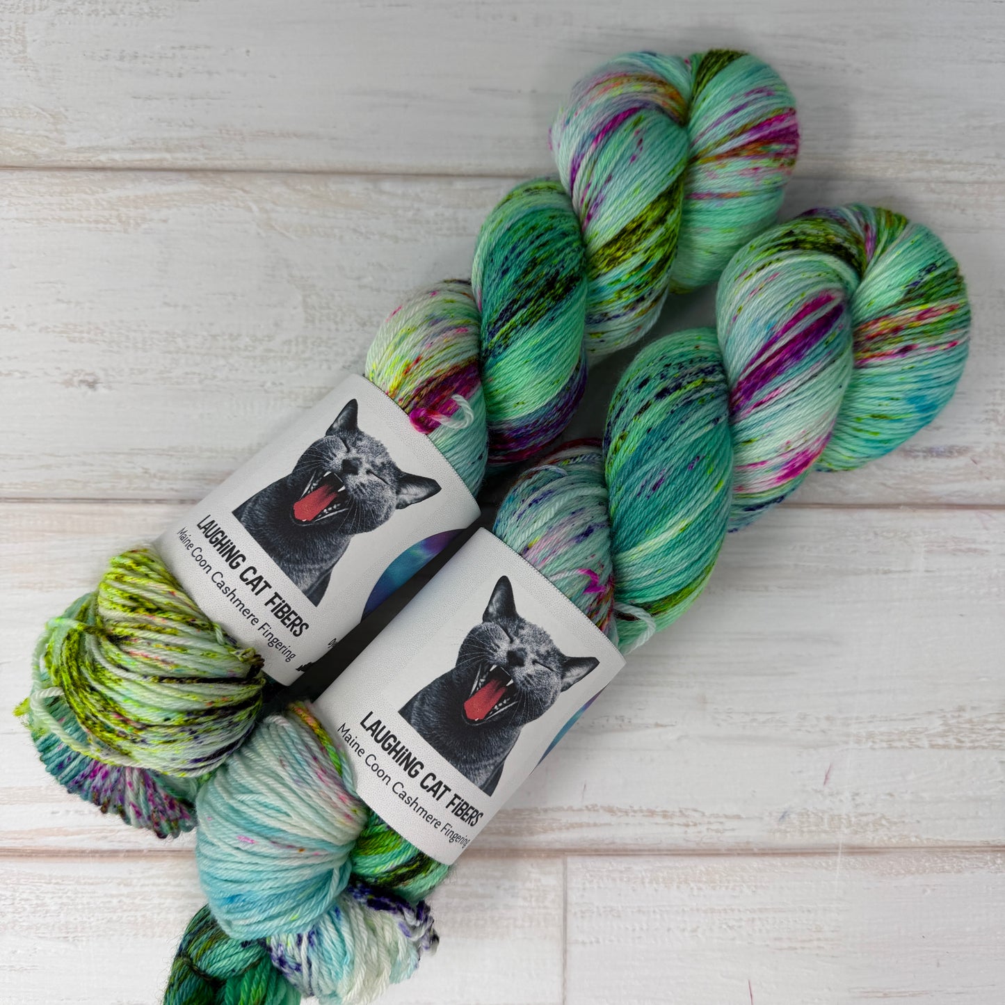 Hand dyed yarn in Aurora Borealis by Laughing Cat Fibers