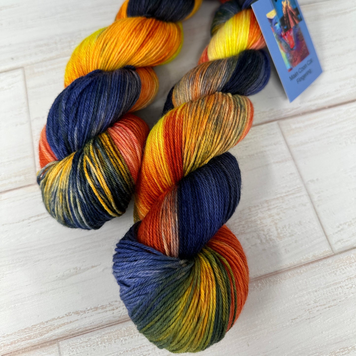 two skeins of hand dyed yarn by Laughing Cat Fibers in their Campfire colorway
