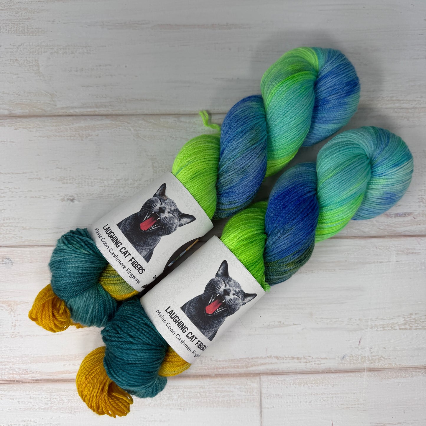 Two skeins of Gender Queer yarn dyed by Laughing Cat Fibers