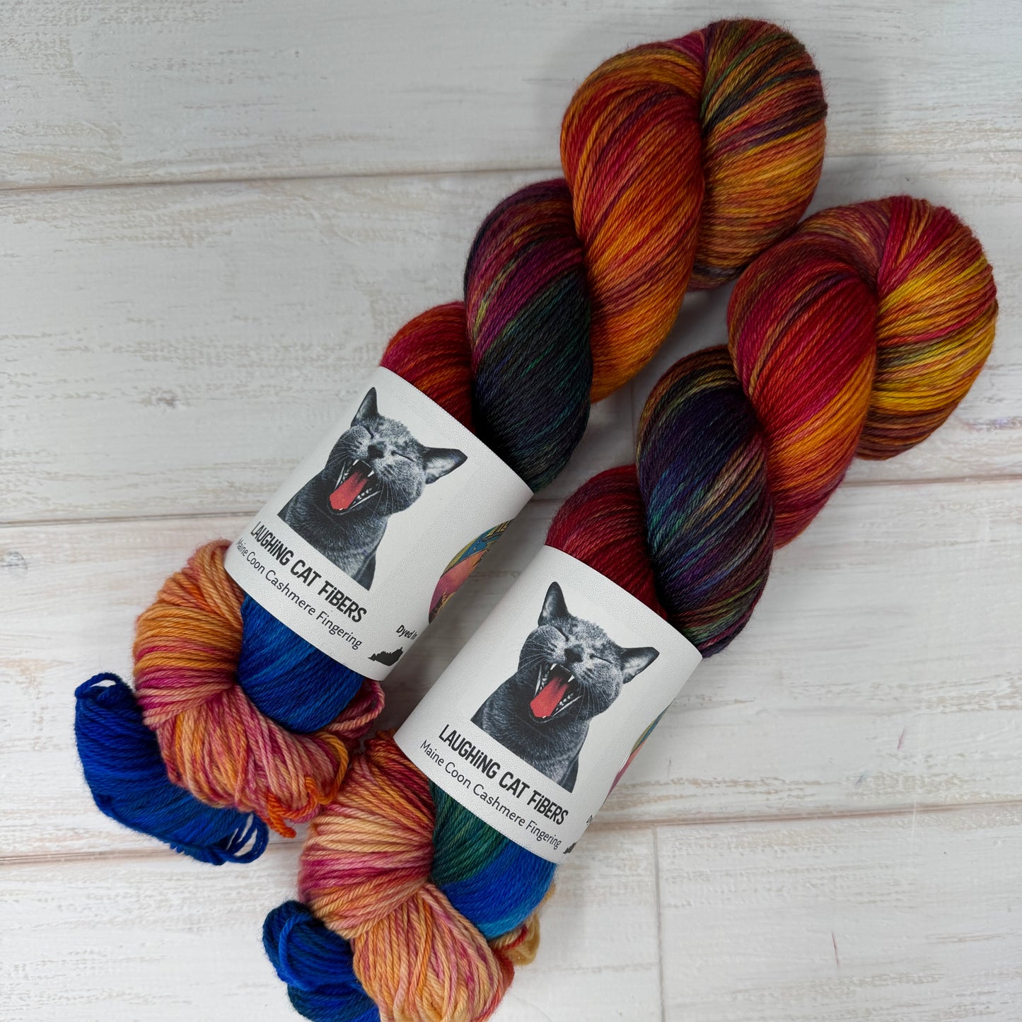 The Left Hand of Darkness — Banned Book Colorway