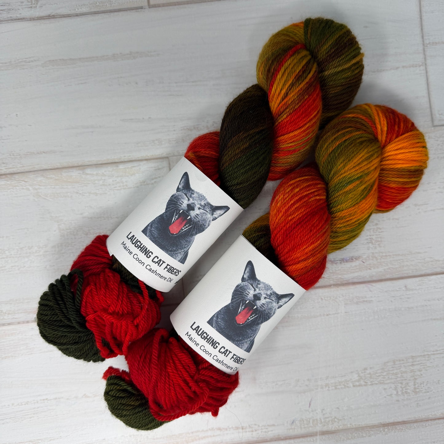 Two skeins of multicolored hand dyed DK yarn by Laughing Cat Fibers in their Pillars of Creation colorway