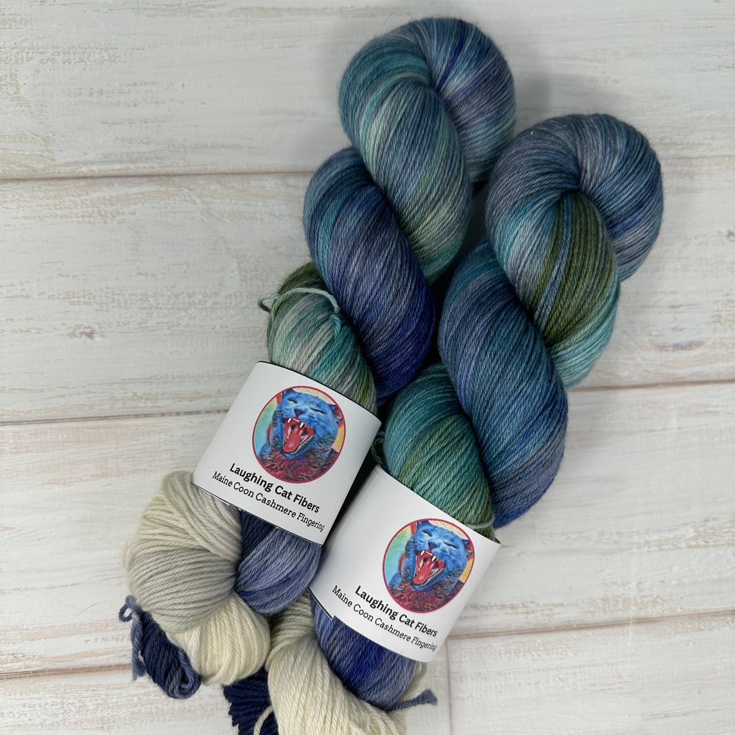 Multicolored skein of Maine Coon fingering yarn hand dyed by Laughing Cat Fibers in their Boreas colorway