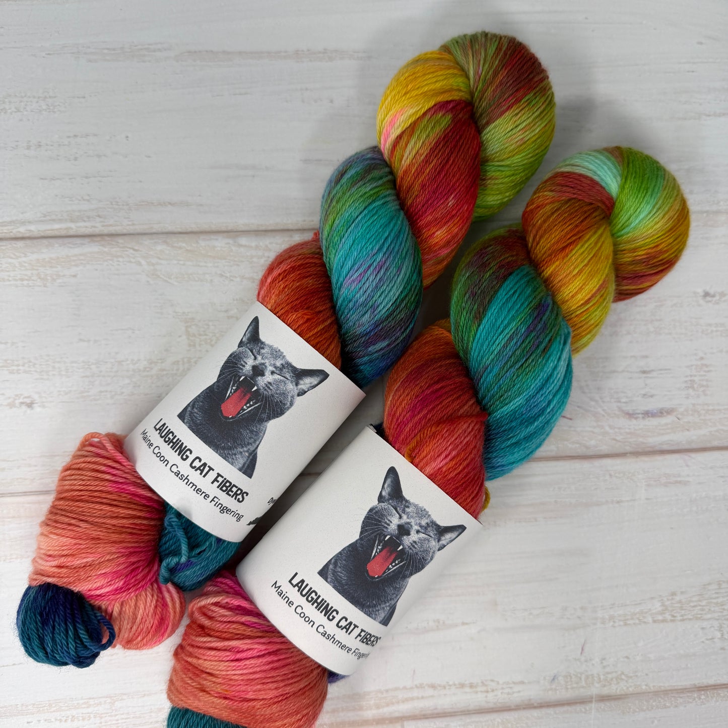 close up of hand dyed yarn based on the book "the Sum of Us" 