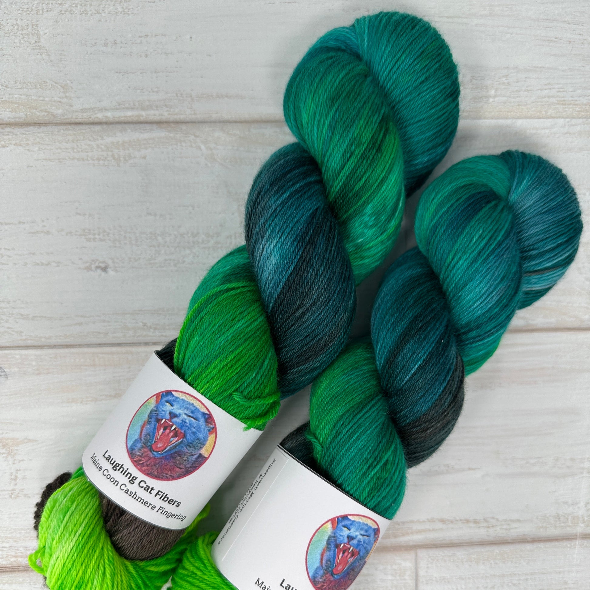 two skeins of MCN fingering yarn hand dyed by Laughing Cat Fibers in their Circe colorway 