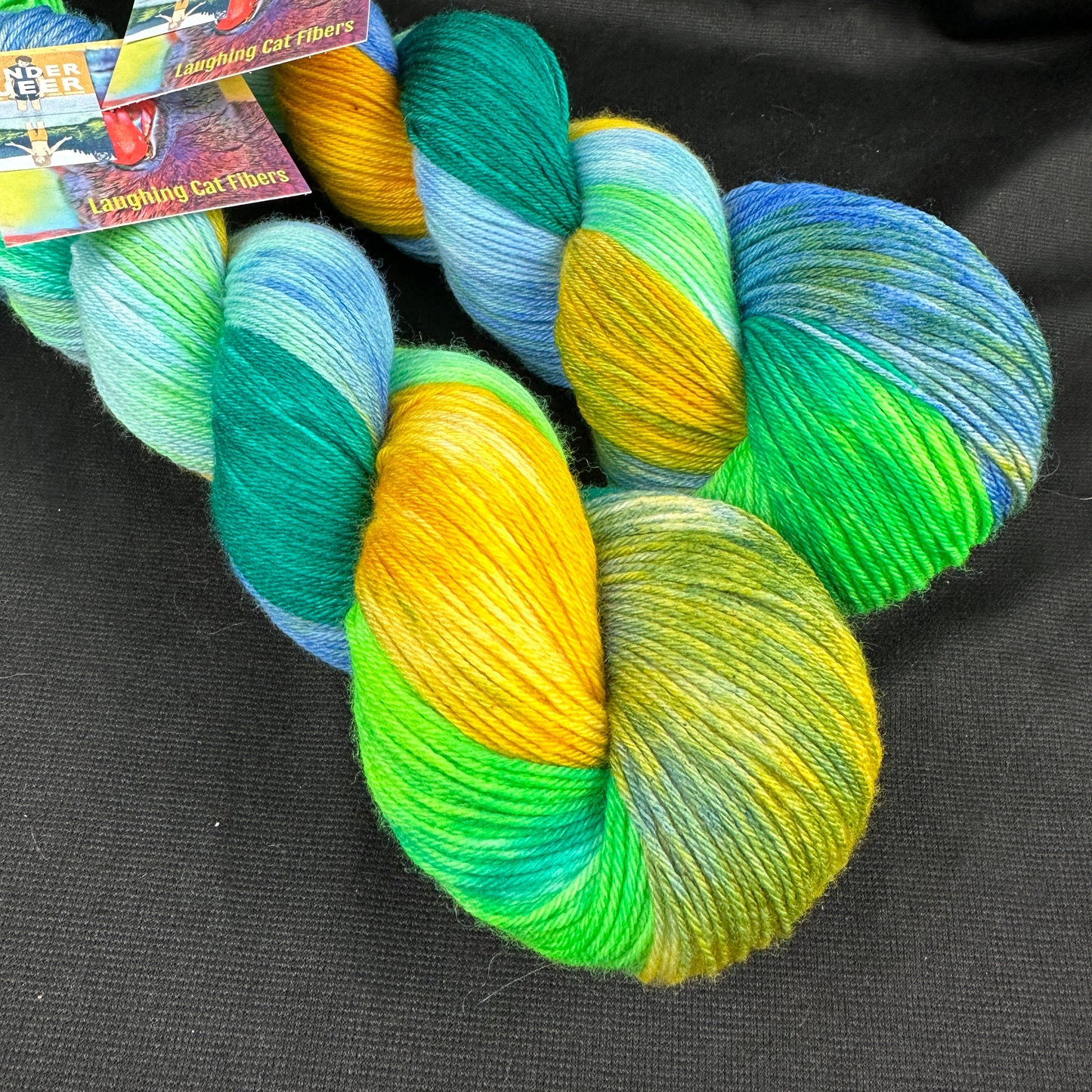 Colorful skein of hand dyed yarn by Laughing Cat Fibers dyed in the colorway Gender Queer 