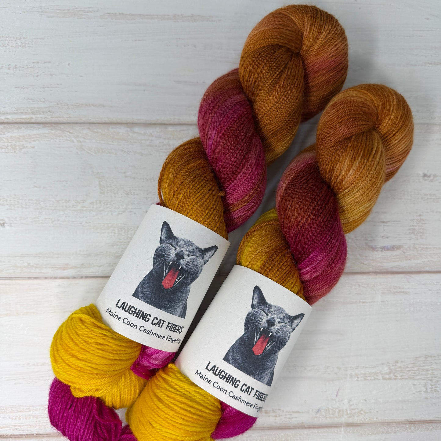 Two skeins of multicolored Maine Coon Fingering yarn dyed by Laughing Cat Fibers in the All Boys Aren't Blue colorway 