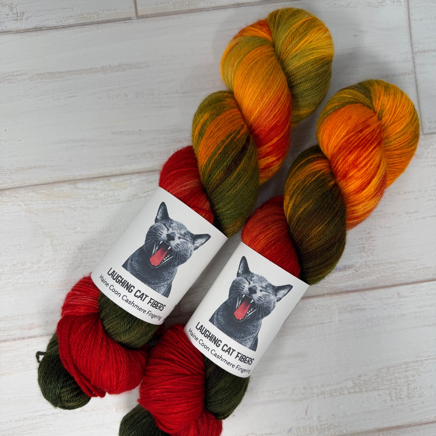 Two skeins of multicolored hand dyed fingering yarn by Laughing Cat Fibers in their Pillars of Creation colorway 