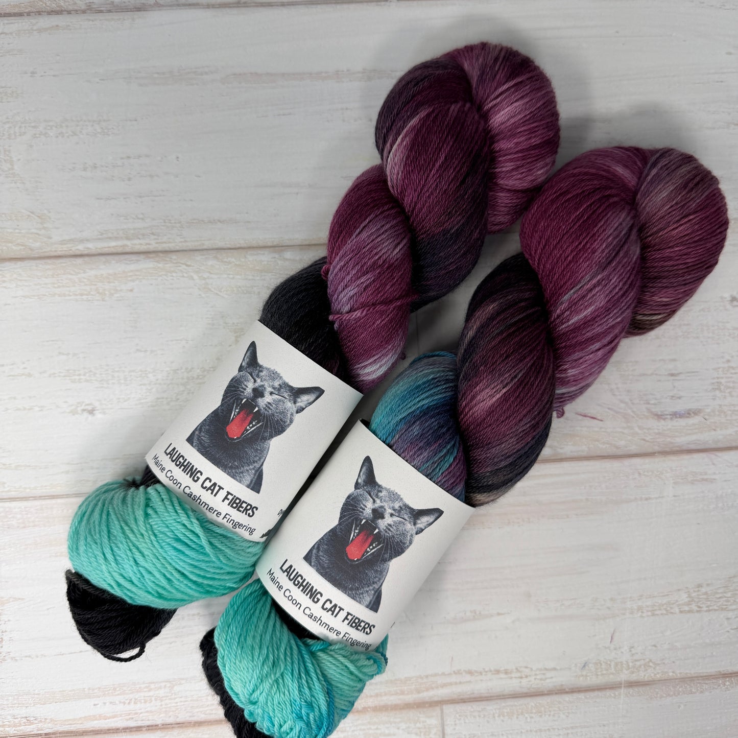 two skeins of merino cashmere nylon yarn in the To Kill a Mockingbird colorway by Laughing Cat Fibers