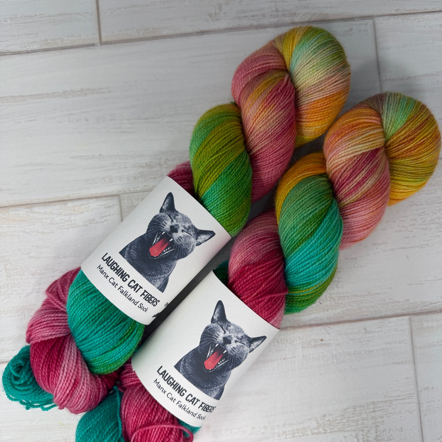 two skeins of hand dyed sock yarn by Laughing Cat Fibers in The Algerian Woman colorway 