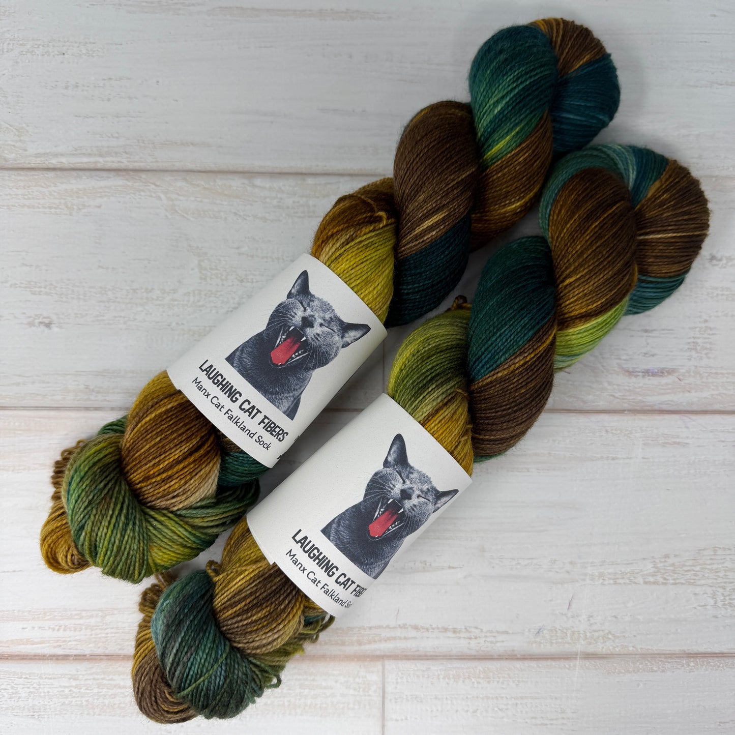 two skeins of Falkland sock hand dyed yarn by Laughing Cat Fibers in their Winter colorway 