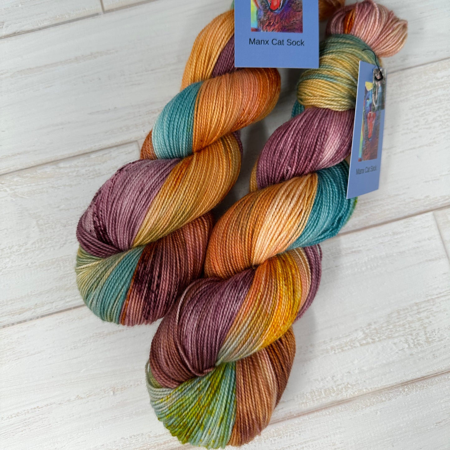two skeins of hand dyed yarn by Laughing Cat Fibers in their The Soul of the Rose colorway 