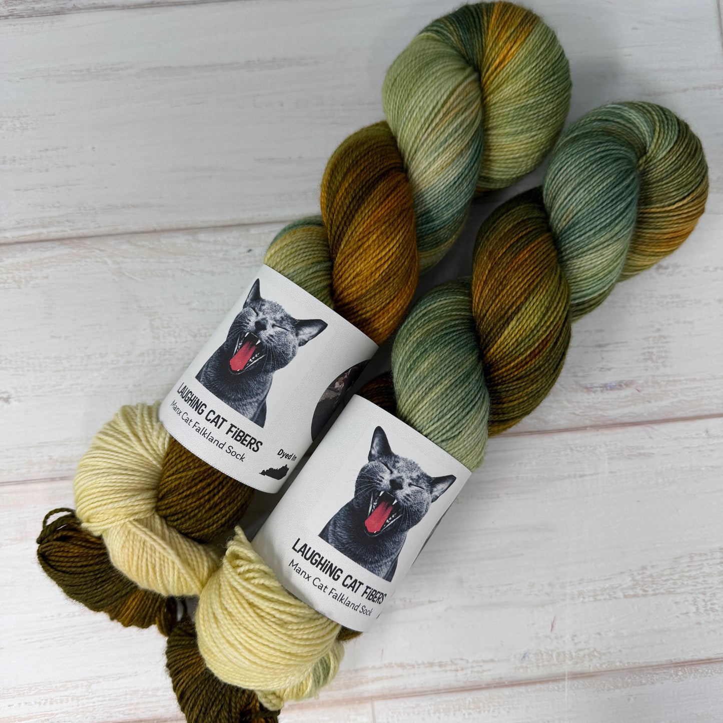 Courage, Anxiety & Despair (Watching the Battle)— James Sant Series