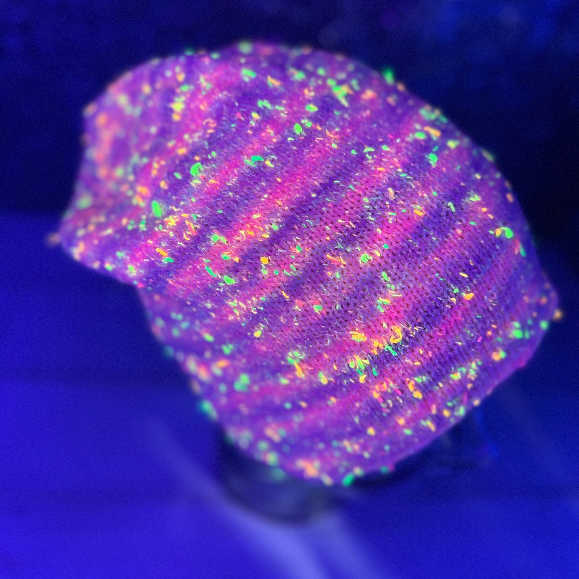 “Musselburgh Hat knit in neon nep yarn glowing under UV blacklight, showing bright fluorescent Donegal speckles.”