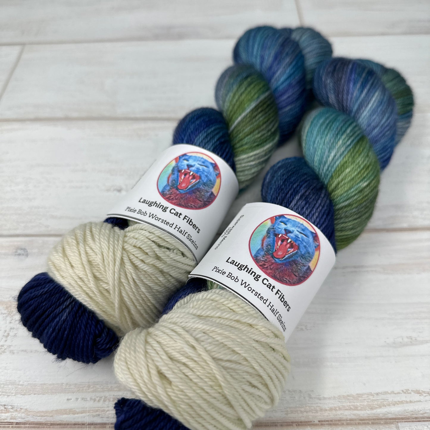 Two skeins of hand dyed yarn by Laughing Cat Fibers in the Boreas colorway