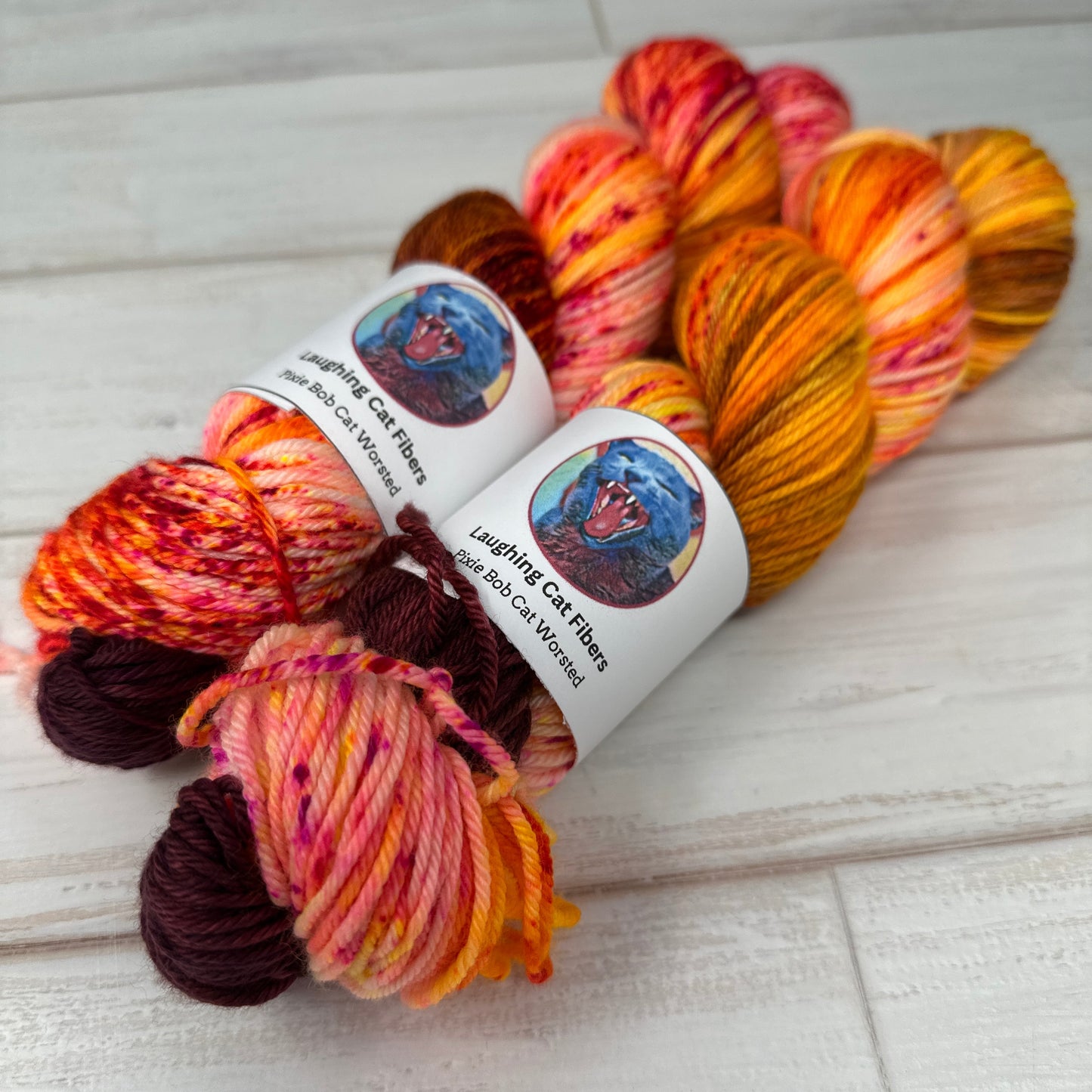 two skeins of worsted hand dyed yarn by Laughing Cat Fibers in their Beads on a String colorway 