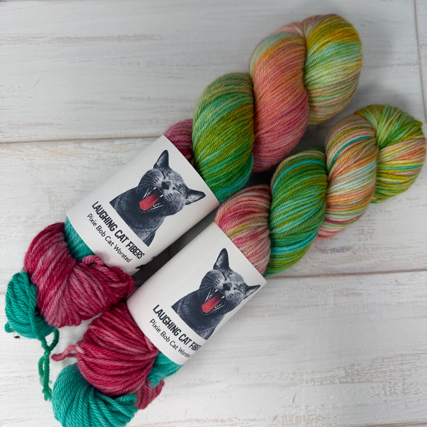two skeins of hand dyed worsted yarn by Laughing Cat Fibers in The Algerian Woman colorway 
