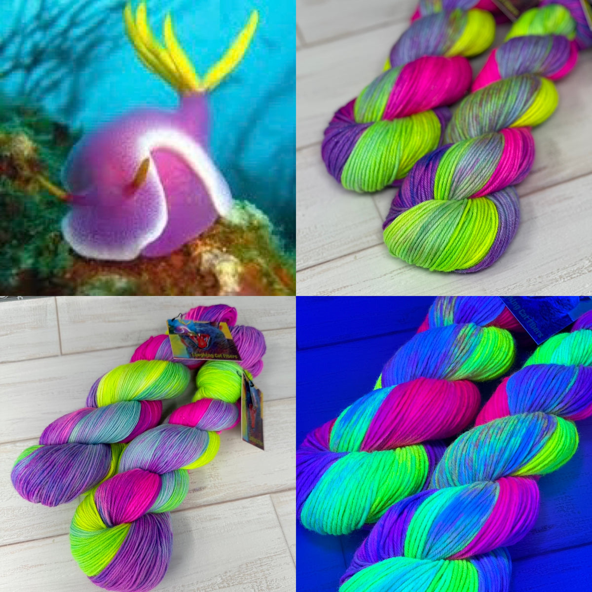A collage of images showing colorful yarn in various plys and bases, with a close-up of a sea slug in its natural underwater environment.