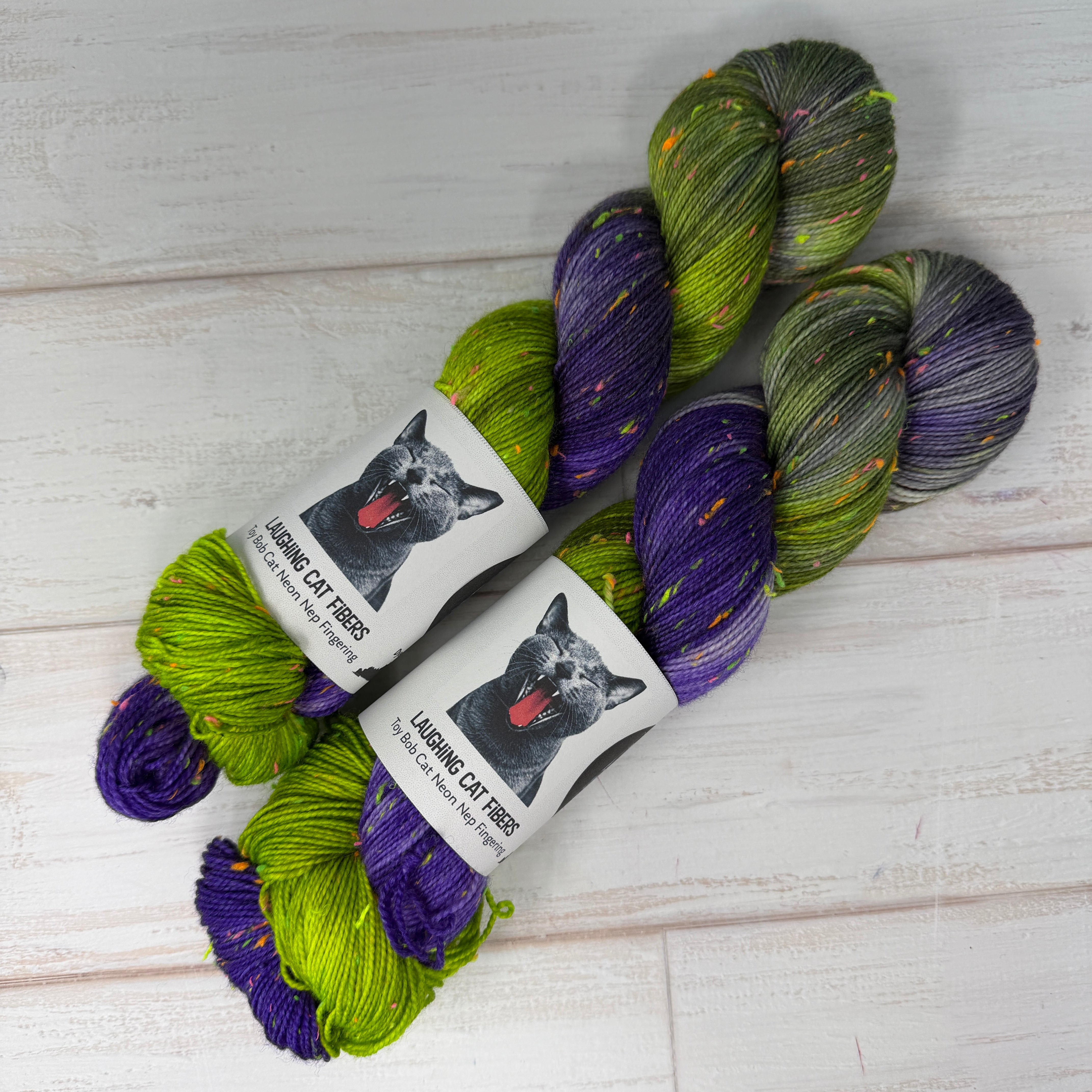 Ray Bradbury Inspired Neon Nep Yarn | Hand-Dyed Literary Yarn