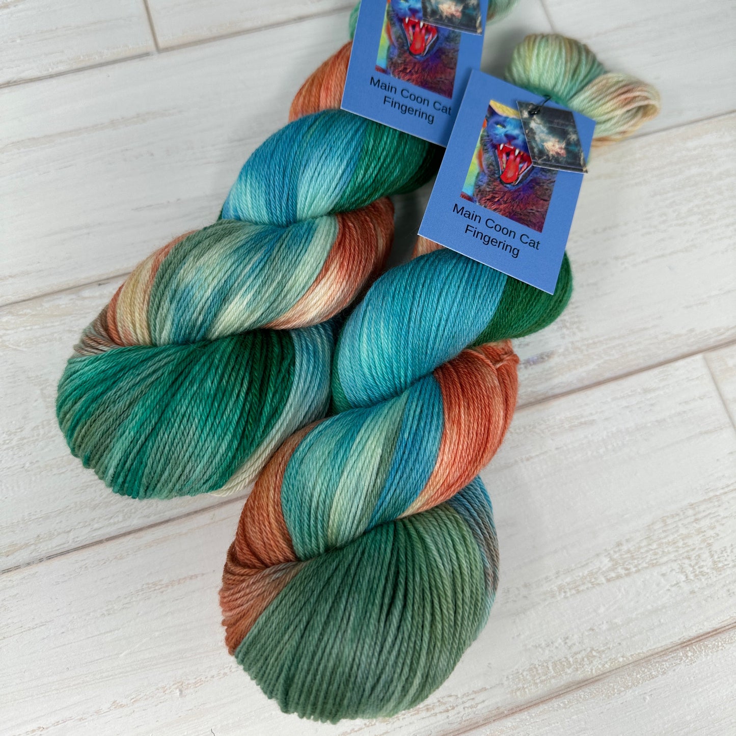 two skeins of MCN fingering yarn hand dyed by Laughing Cat Fibers in their colorway The Swing