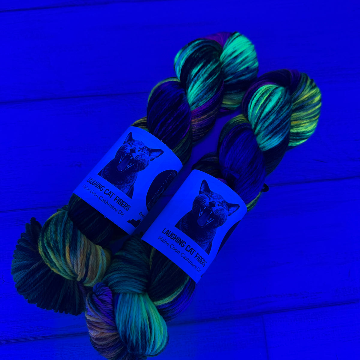A Wind in the Door — Banned Book Colorway