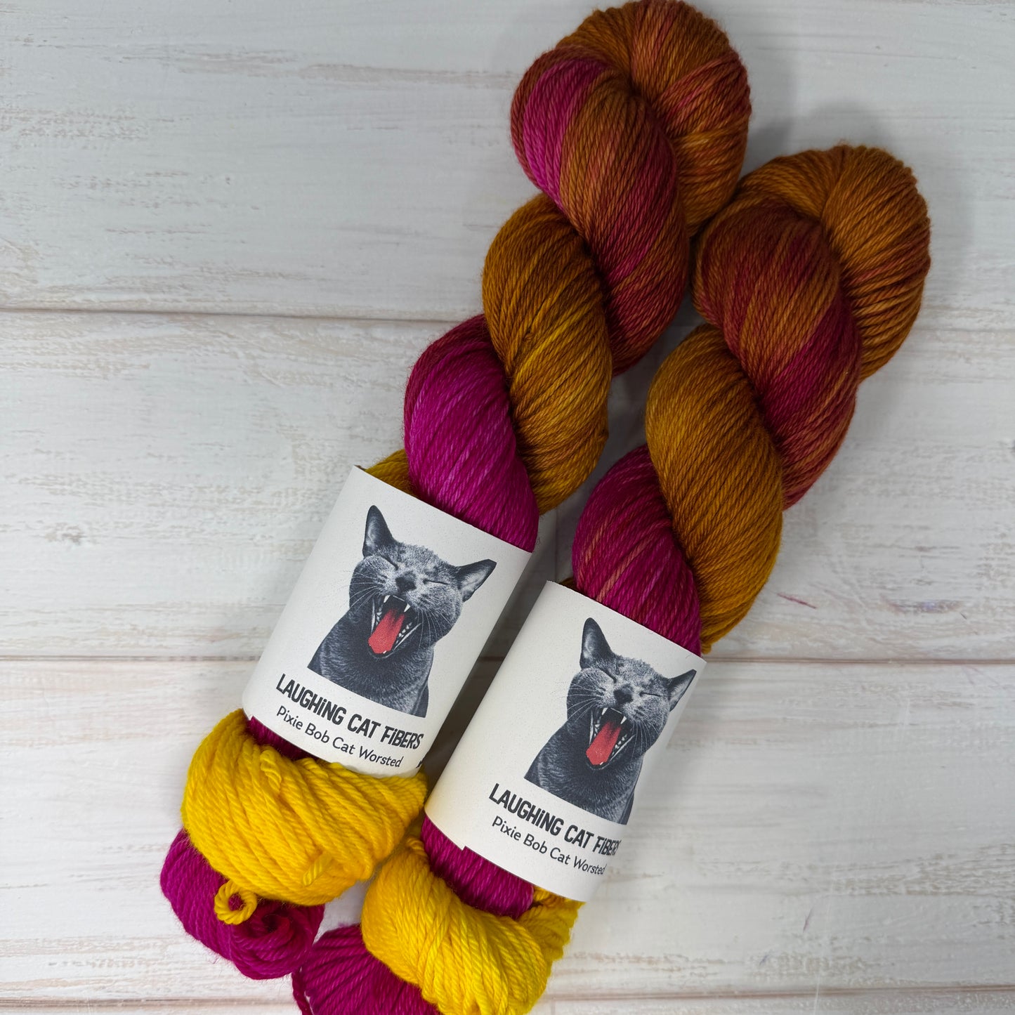 Two skeins of multicolored hand dyed yarn  dyed by Laughing Cat Fibers in the All Boys Aren't Blue colorway