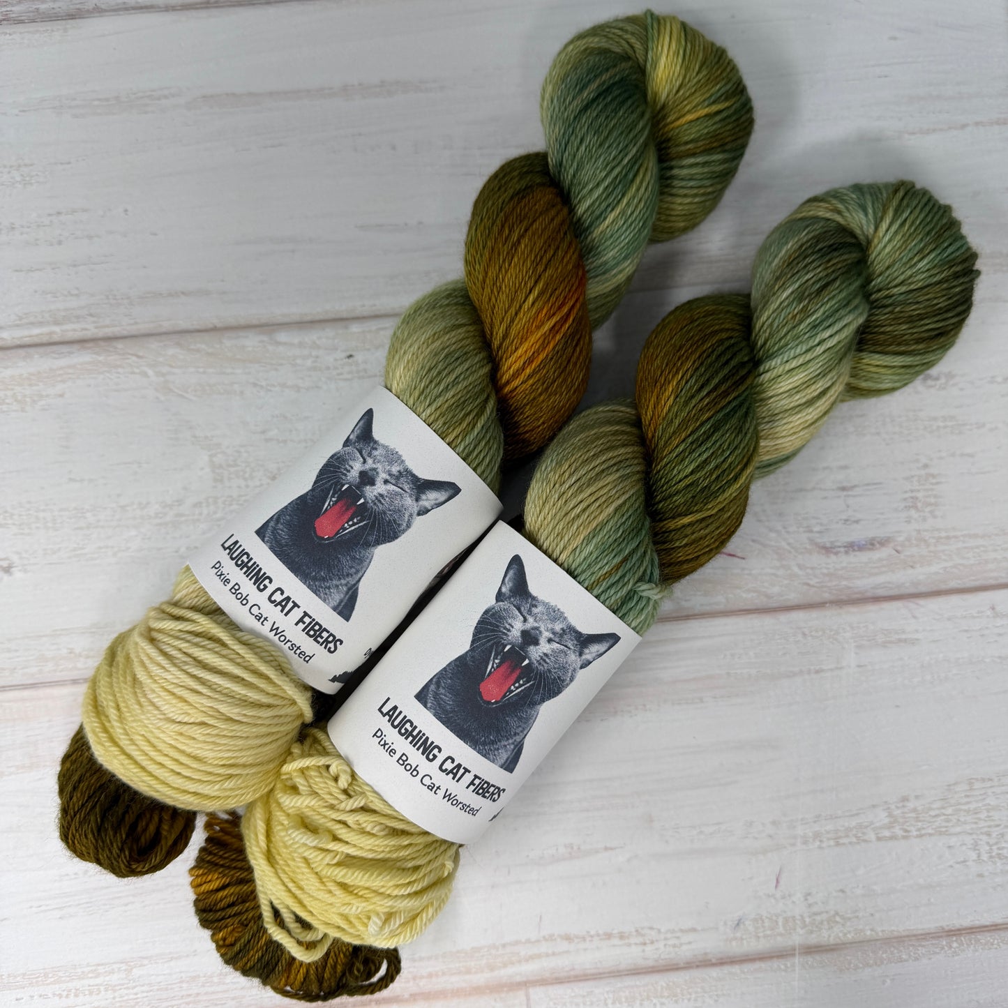 Courage, Anxiety & Despair (Watching the Battle)— James Sant Series