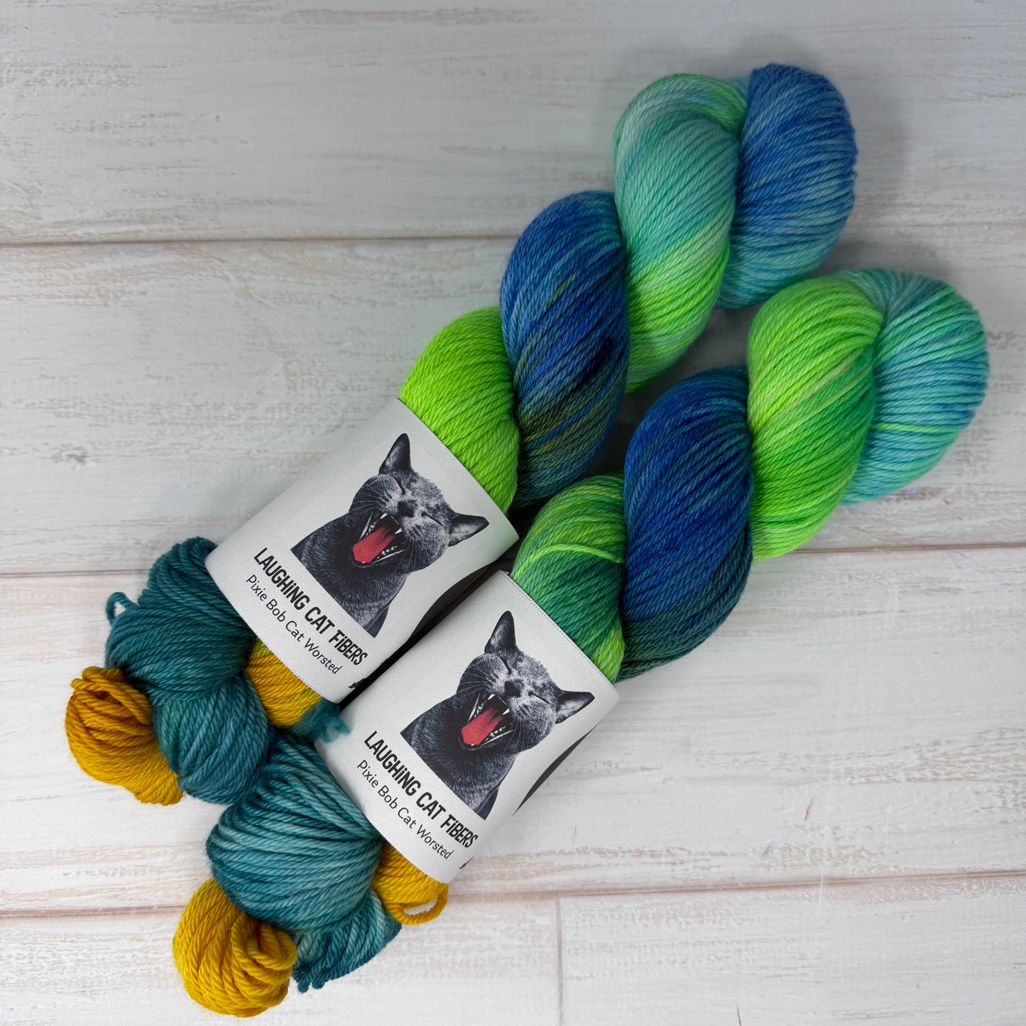 Gender Queer — Banned Book Colorway