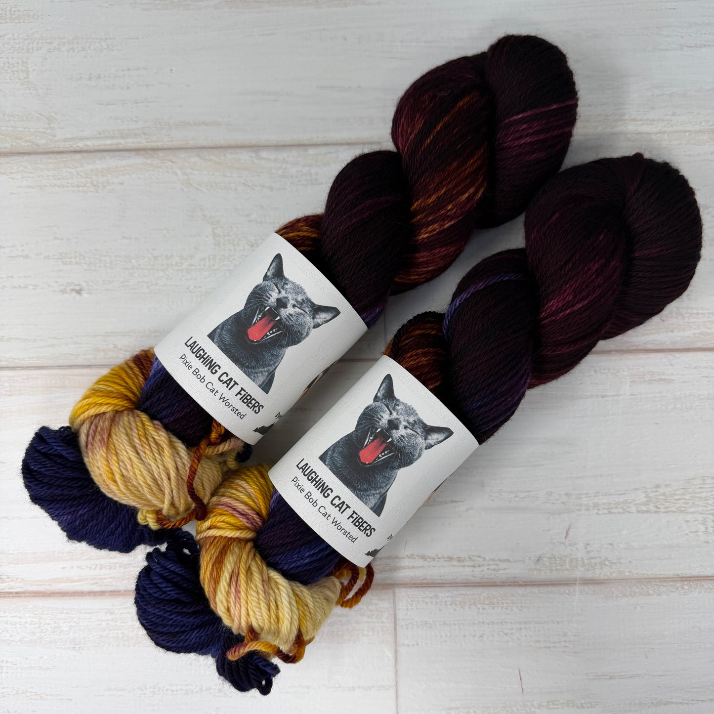 Judith — Artemisia Gentileschi Series